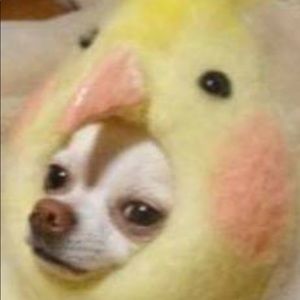 Meet your Posher, Mark